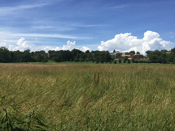 Foto de uma cidade de campo